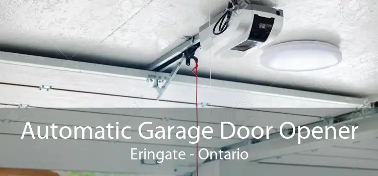 Automatic Garage Door Opener Eringate - Ontario