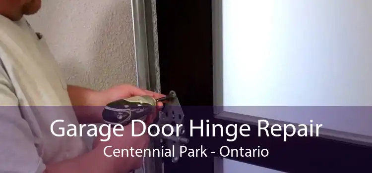 Garage Door Hinge Repair Centennial Park - Ontario