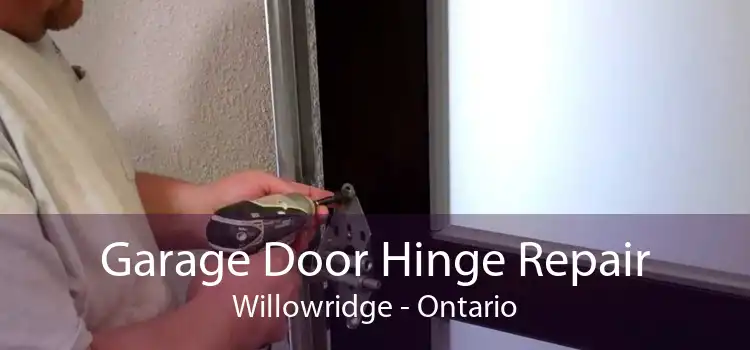 Garage Door Hinge Repair Willowridge - Ontario
