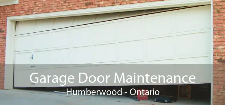 Garage Door Maintenance Humberwood - Ontario