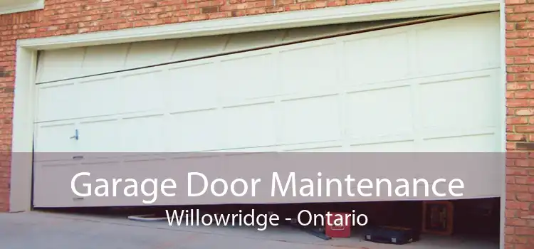 Garage Door Maintenance Willowridge - Ontario