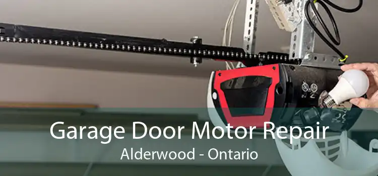 Garage Door Motor Repair Alderwood - Ontario