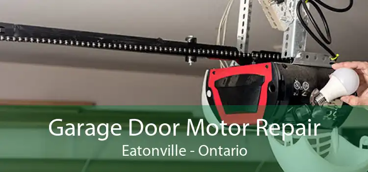 Garage Door Motor Repair Eatonville - Ontario