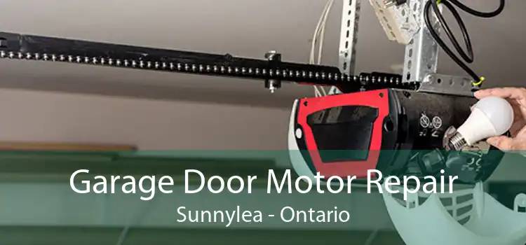 Garage Door Motor Repair Sunnylea - Ontario