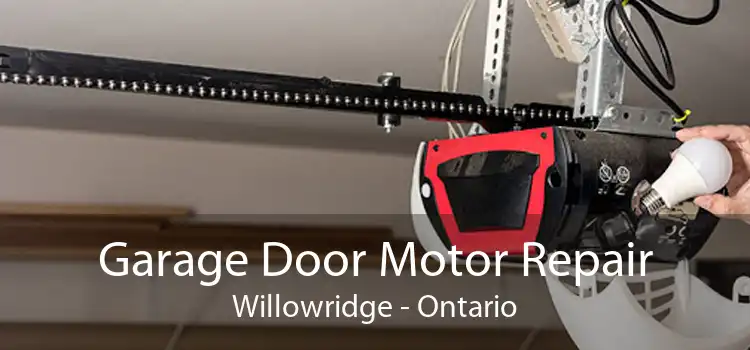 Garage Door Motor Repair Willowridge - Ontario