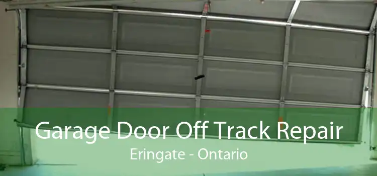 Garage Door Off Track Repair Eringate - Ontario