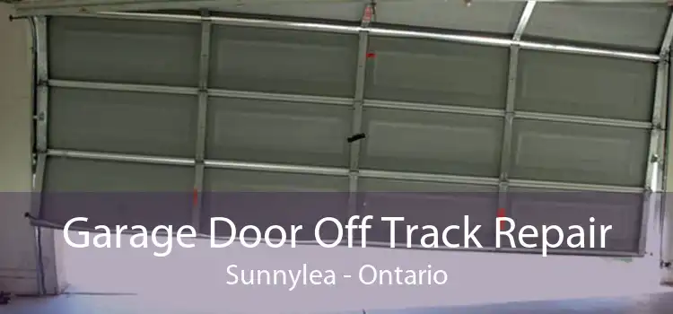 Garage Door Off Track Repair Sunnylea - Ontario