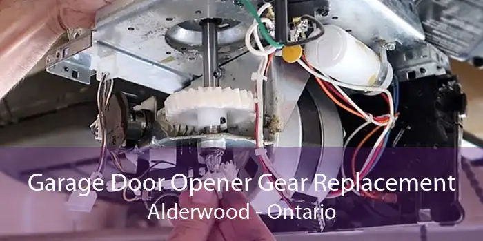Garage Door Opener Gear Replacement Alderwood - Ontario