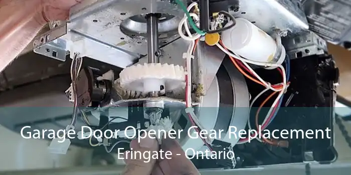 Garage Door Opener Gear Replacement Eringate - Ontario