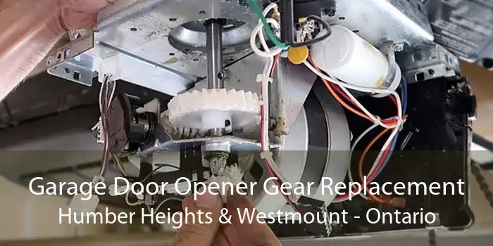 Garage Door Opener Gear Replacement Humber Heights & Westmount - Ontario