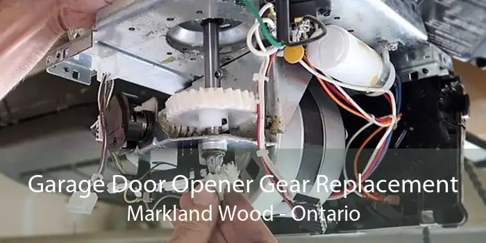 Garage Door Opener Gear Replacement Markland Wood - Ontario