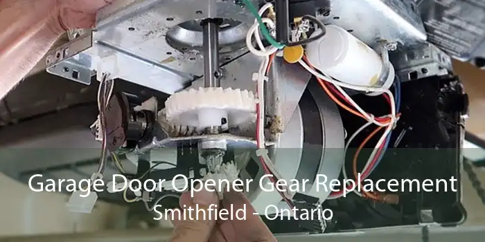 Garage Door Opener Gear Replacement Smithfield - Ontario