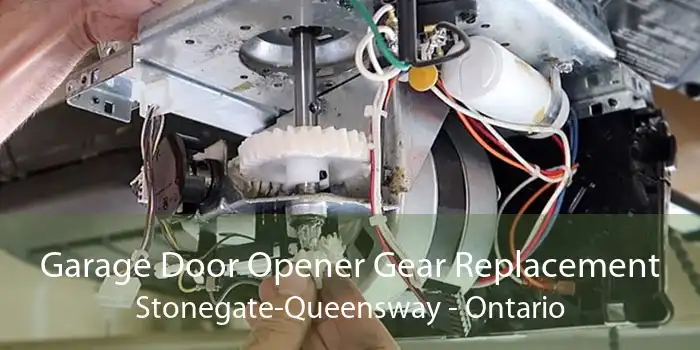 Garage Door Opener Gear Replacement Stonegate-Queensway - Ontario