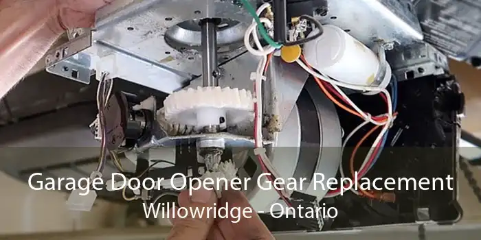 Garage Door Opener Gear Replacement Willowridge - Ontario