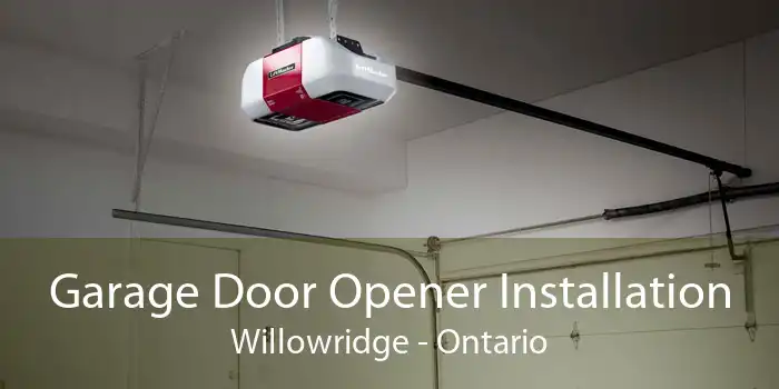 Garage Door Opener Installation Willowridge - Ontario