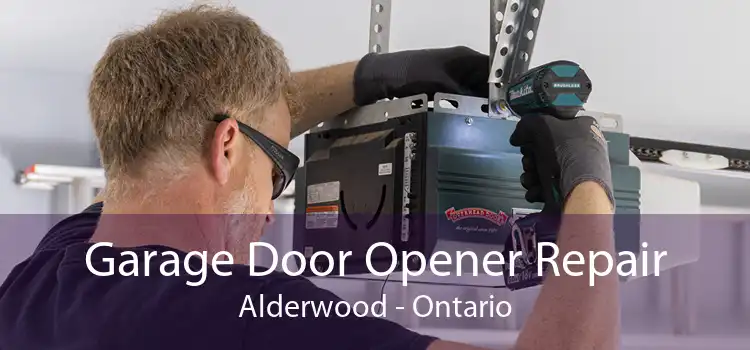 Garage Door Opener Repair Alderwood - Ontario