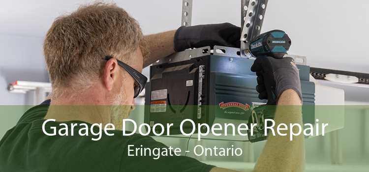 Garage Door Opener Repair Eringate - Ontario