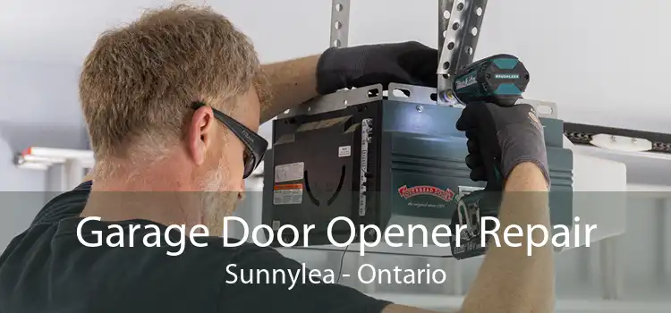 Garage Door Opener Repair Sunnylea - Ontario
