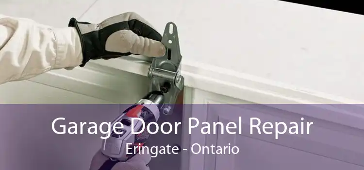 Garage Door Panel Repair Eringate - Ontario