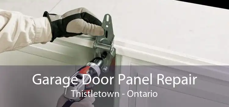 Garage Door Panel Repair Thistletown - Ontario