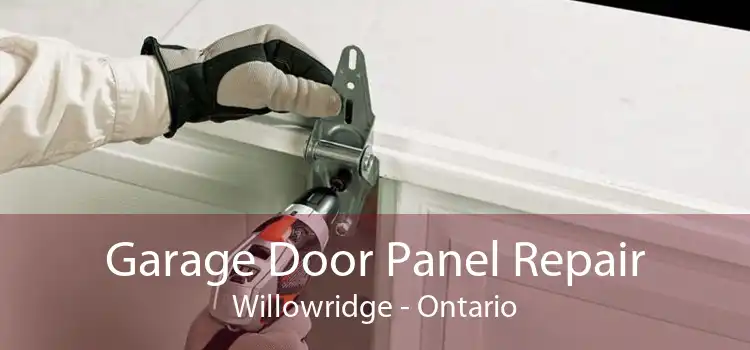 Garage Door Panel Repair Willowridge - Ontario
