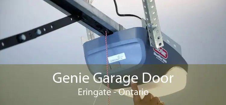 Genie Garage Door Eringate - Ontario