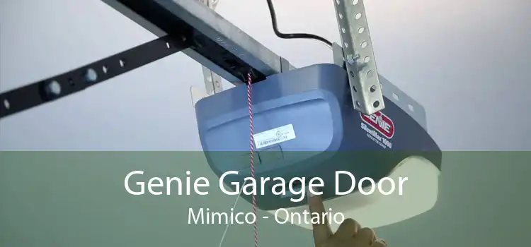 Genie Garage Door Mimico - Ontario
