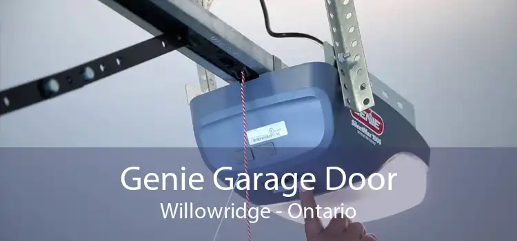 Genie Garage Door Willowridge - Ontario