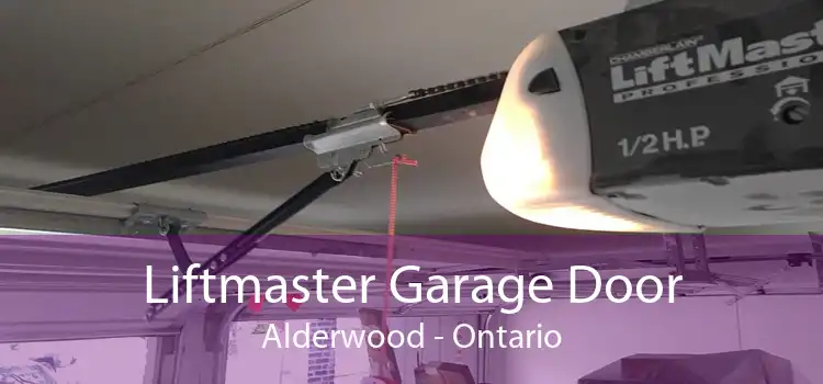 Liftmaster Garage Door Alderwood - Ontario