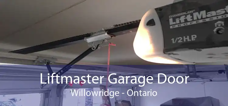Liftmaster Garage Door Willowridge - Ontario