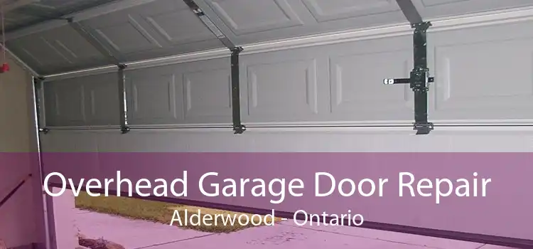 Overhead Garage Door Repair Alderwood - Ontario