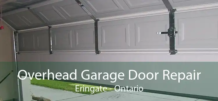 Overhead Garage Door Repair Eringate - Ontario
