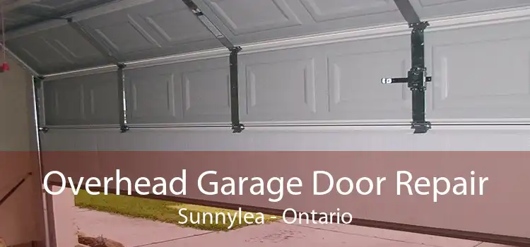 Overhead Garage Door Repair Sunnylea - Ontario