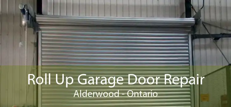 Roll Up Garage Door Repair Alderwood - Ontario