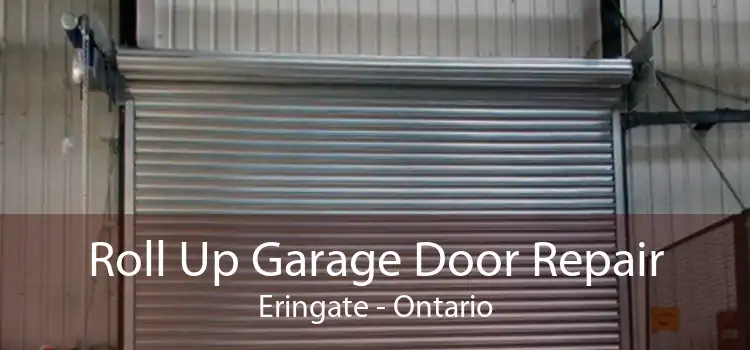 Roll Up Garage Door Repair Eringate - Ontario