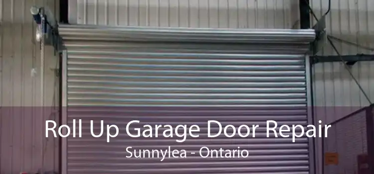 Roll Up Garage Door Repair Sunnylea - Ontario