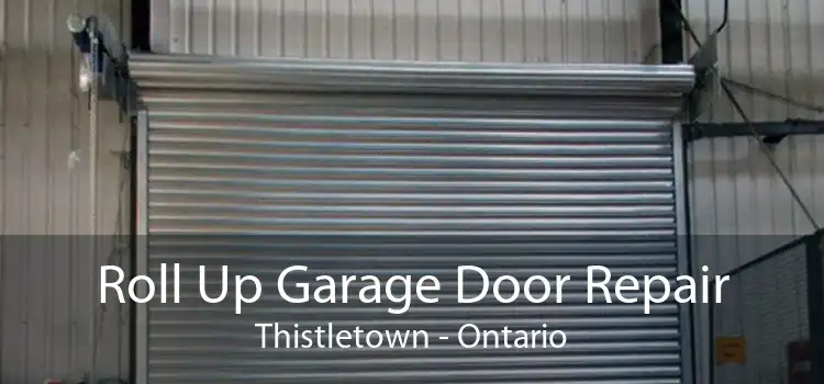 Roll Up Garage Door Repair Thistletown - Ontario