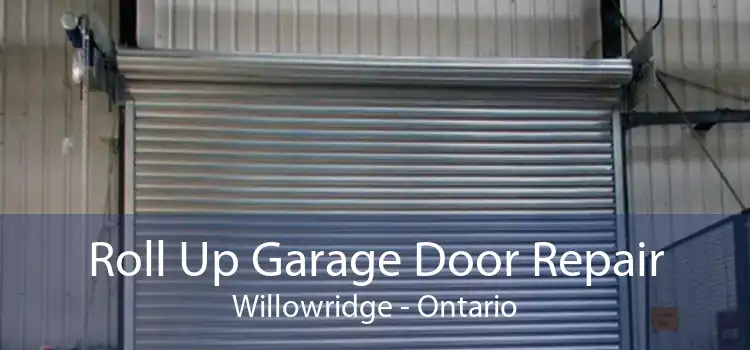 Roll Up Garage Door Repair Willowridge - Ontario